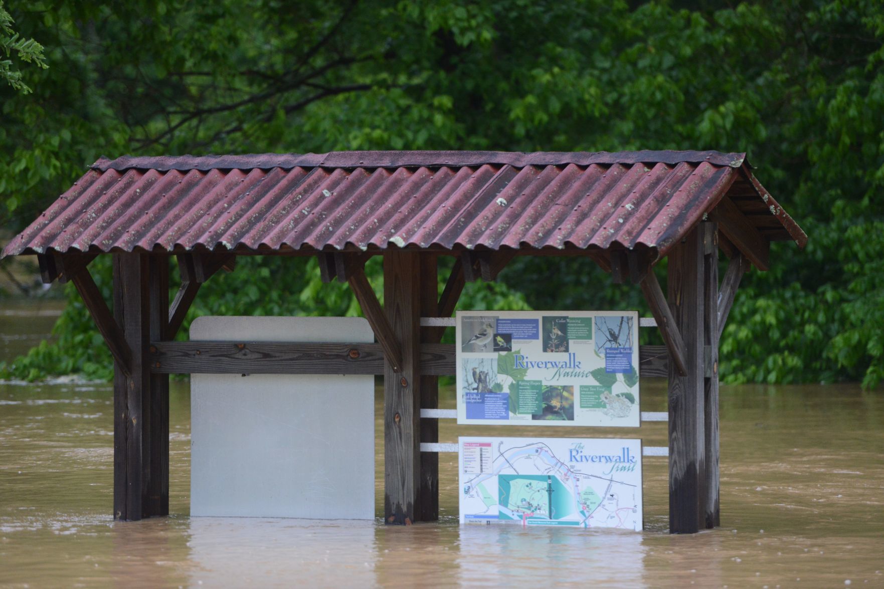 Flood
